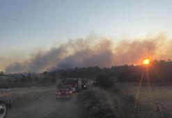 Tekirdağ'da otluk alanda çıkan yangından güzel haber geldi