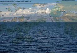 Yunanistan ve Türkiye arasında Ege 'yarı kapalı deniz' tartışması, deniz parkları neden önemli?