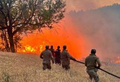 61 orman yangınıyla ilgili 23 şüpheli gözaltına alındı