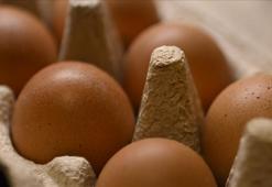Sofralık yumurta ihracatında uygulanan fon kesintisi kaldırıldı