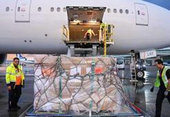 Burdur’un kayıp hazinesi ABD’de bulundu! 65 yıl sonra Türkiye'ye getirildi