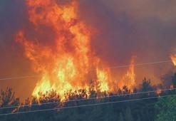 Orman yangınlarında ölümcül tuzak: Alev Kırbacı can alıyor