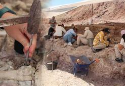 9 milyon yıllık sırlar yeniden gün yüzüne çıkıyor! ‘Bir parçası burada, diğeri orada’