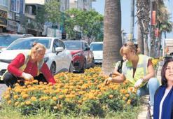Didim’e estetik dokunuş