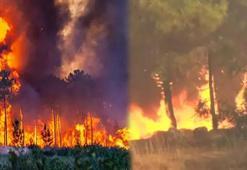 ORMAN YANGINI SON DAKİKA 26 TEMMUZ 2025: Antalya orman yangını söndürüldü mü, yangın nerede? Orman yangınlarında son durum nedir?