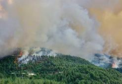 Yangınların yüzde 90'ı insan kaynaklı! İstanbul Orman Müdürü’nden kritik uyarı