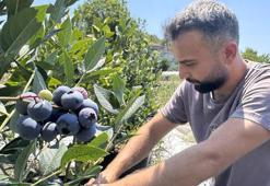 Üniversite yıllarındayken tadını beğendi, üretime başladı: 'Ticari amaç gütmüyorum'