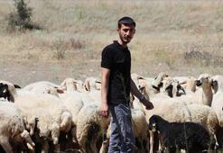 Devlet desteğiyle modern çiftlik kurdu