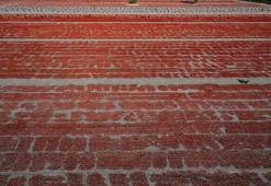 Türkiye, kurutulmuş domatesten 95 milyon dolar kazandı