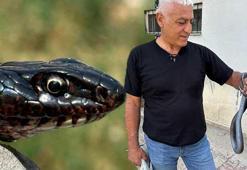 Yer: Tunceli! Tuvalete giren dev yılan korkuttu