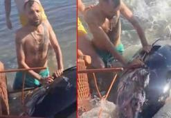 Yer: Çeşme! Kıyıya vurdu, sandalye ile karaya çıkarmaya çalıştılar