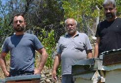 Fotokapana takılan görüntü şoke etti! Tam 2 yıldır nöbet tutuyorlar