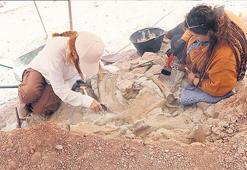 Çankırı’da fil, gergedan ve zürafa fosilleri
