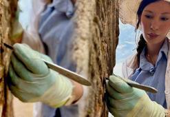 Bu taşlar tarihin seyrini değiştirecek! 6'sı birden keşfedildi: 750 yıl sonra bir ilk