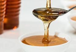 Doğu Karadeniz'in bal ihracatı 1,2 milyon doları aştı