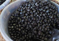 Zeytin küflenmesini önlüyor! Haftalarca küf derdinden kurtaran formül