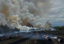 Bursa'da orman yangını