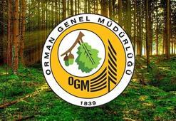 OGM'den, 'yangın yönetim uçağı OTAĞ'ın kullanılmadığı' iddialarına açıklama