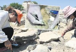 İğne ile tarih kazıyorlar