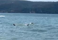 Beykoz'da tekne alabora oldu! 1 kişi hayatını kaybetti