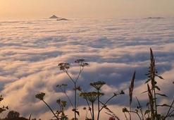 Karadeniz'de büyüleyici doğa olayı! 'Bulut Denizi' şaşkına çevirdi