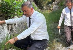 NASA Türkiye'den 'Vay be' notuyla paylaşmıştı! Son hali 'vahim'