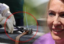 12 mühür tek tek açıldı: Burada kuş sütü bile var