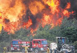 Orman yangınlarının ekonomik maliyeti 14,2 milyar TL