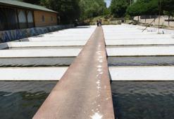 Malatya'da devlet desteğiyle alabalık tesisi sayısı artıyor