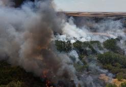 Kırklareli’nde ağaçlık alanda çıkan yangın söndürüldü! Avrupa Otoyolu trafiğe açıldı
