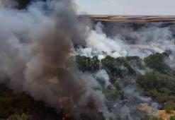 Kırklareli’nde ağaçlık alanda yangın! Avrupa Otoyolu trafiğe kapandı