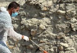 Akreplerin saldırdığı köy için ekipler seferber oldu