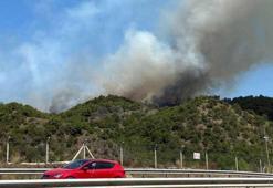Tokat'ta orman yangını! 50 hektarlık alan küle döndü