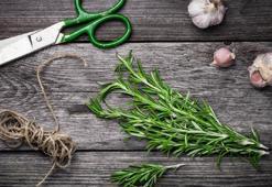 Kapının eşiğine bir tutam bırakın! Romalıların bereket tüyosu, yüzyıllık gelenek