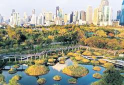 Geri kazanım için sünger şehirler! Su hasadıyla evlerde yüzde 40’a varan tasarruf sağlamak mümkün