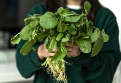 Roka yıkansa da çıtır çıtır kalacak! Hemen bozuluyor ama bu taktikle 1 hafta taze