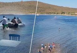 Yer: Balıkesir! Yürüyerek gidilen adada büyük trajedi