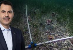 Bakan Kurum: Pina ve deniz çayırları Marmara'ya nefes oluyor