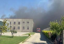 Tarım arazisindeki yangın fabrikaya sıçradı! Müdahale ediliyor