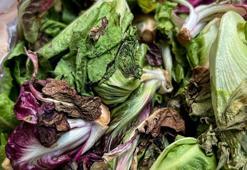 Marulu böyle muhafaza edince solmuyor! İşte marulu canlı tutan taktik