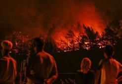 OGM: Bu yıl 5 binden fazla yangınla mücadele edildi