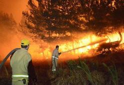 Yangın riski olan bölgelerde tren seferleri ve piknik alanlarında yeni önlemler alınacak