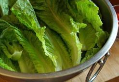 Marulun sapını kesin, bardağa koyun! 10 günde yeşerecek, böylesi görülmedi