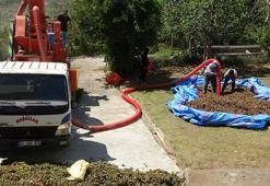 Fındıkta patoz mesaisi başladı: Saatlik ücreti 4 bin 500 TL