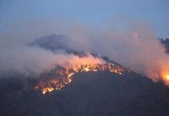 Denizli Acıpayam'da orman yangını! Havadan ve karadan müdahale ediliyor