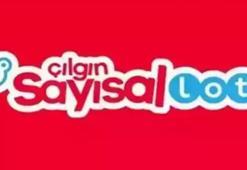 SAYISAL LOTO SORGULAMA EKRANI | Çılgın Sayısal Loto Çekilişi Sonuçları açıklandı! Sayısal Loto nasıl sorgulanır? 13 Ağustos 2025 MP Çılgın Sayısal Loto çekilişi