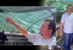 İzmirli profesör evinin bahçesine sera kurdu