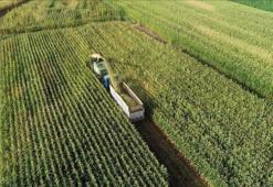 Tarım ÜFE temmuzda azaldı