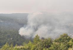 Yurdun dört bir yanında alevlerle mücadele! Yangın köye indi: Kaç artık hiçbir şey yapamayız