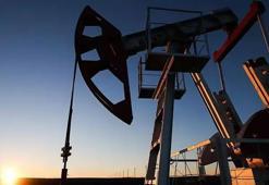 Petrol kaç dolardan işlem görüyor?